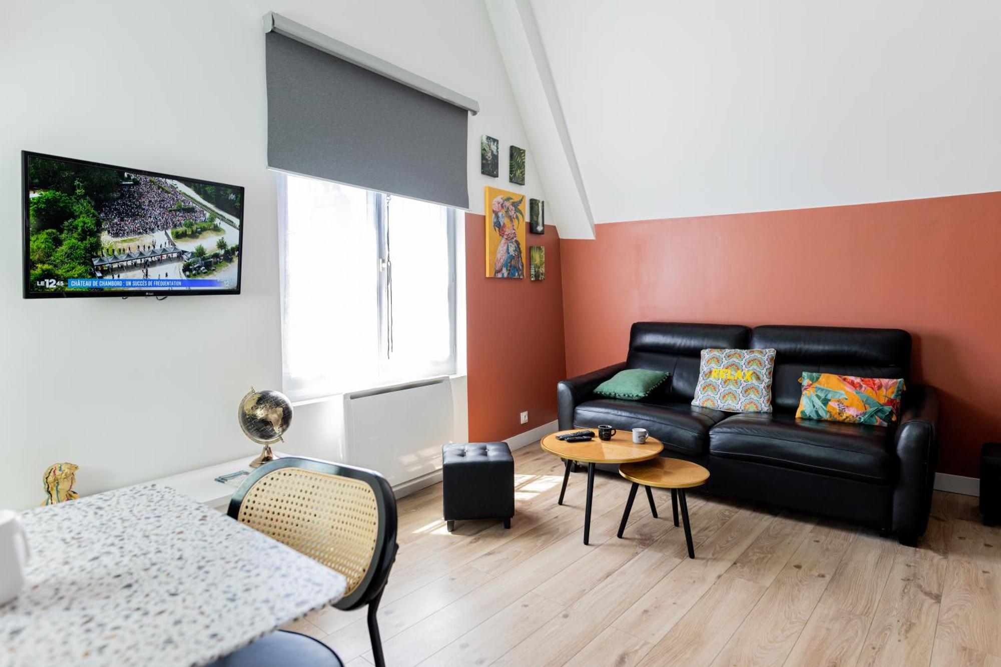 Apartment Mirabeau Sous Les Toits - Tours
